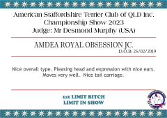 AMDEA ROYAL OBSESSION JC.